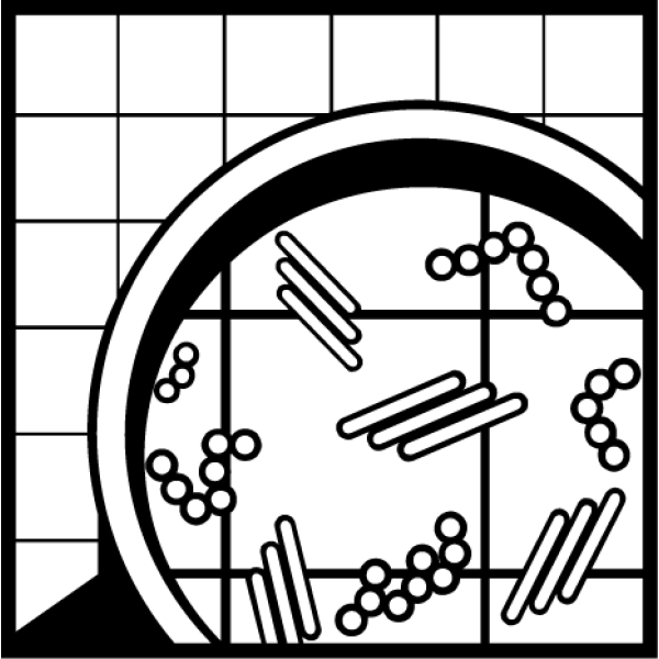 Бактерицидное средство для любых моющихся поверхностей, концентрат Pramol DEO-DES 10 л